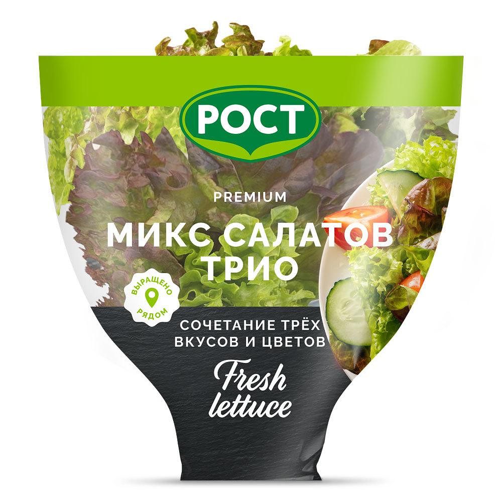 Изображение товара Микс салатов Трио Рост в горшочке - свежесть и вкус