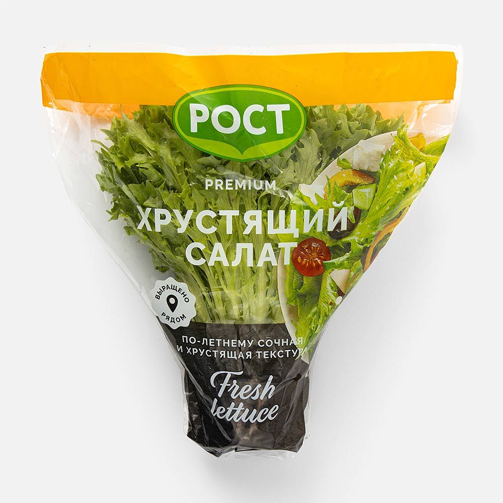 Изображение товара Салат Рост, хрустящий, в горшочке, 1 шт.