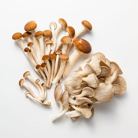 Изображение товара Ассорти грибов Есть грибы, мини-вёшенки и опята, 150 г