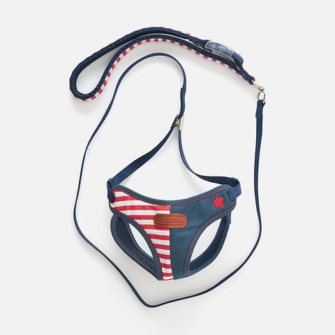 Изображение товара Набор шлейка + поводок Japan Premium Pet Английский стиляга размер Ss