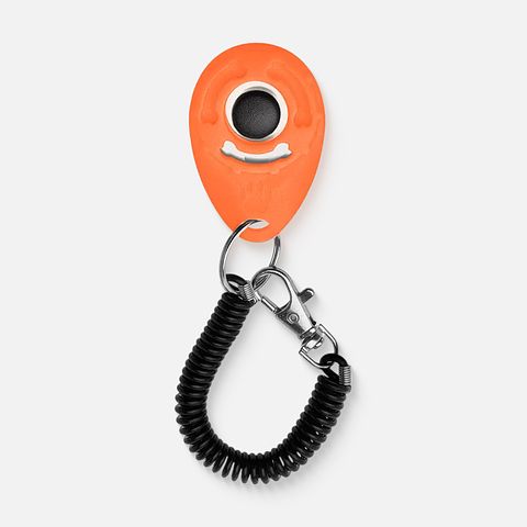 Изображение товара Кликер для дрессировки собак Zoowell на браслете с карабином, оранжевый